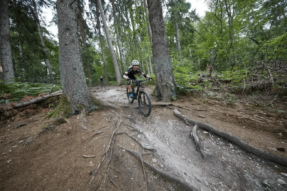 Mountainbikester Monique